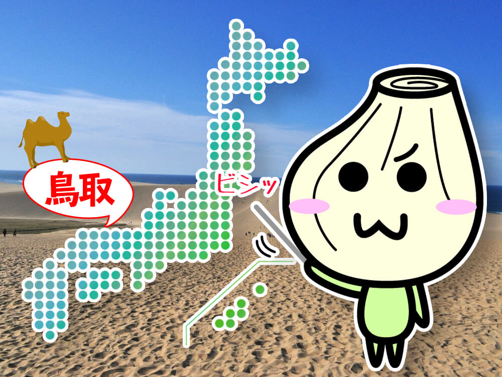 鹿児島県産 新鮮 らっきょう 10kg 鳥取 に次ぐ生産量516 鹿児島県産 新鮮 らっきょう 10kg 鳥取 に次ぐ生産量318