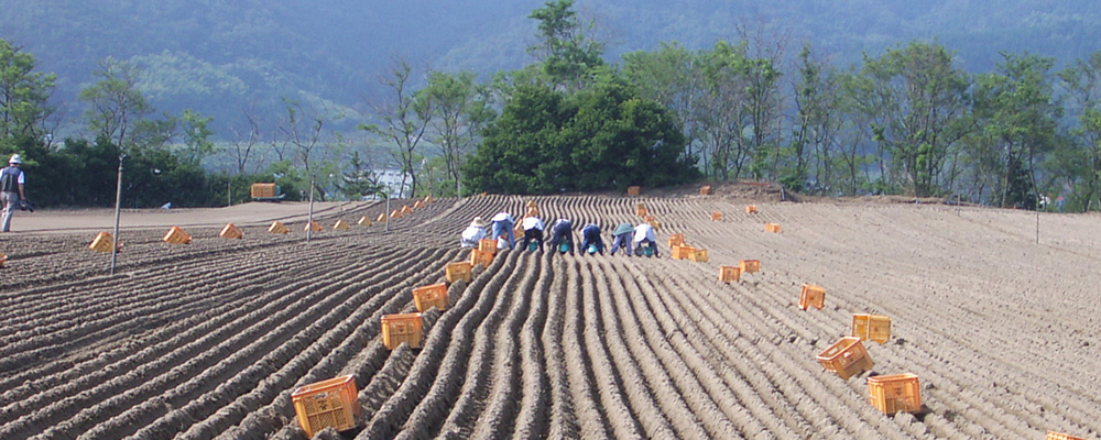こだわり1 使用する原料はもちろん100%JA出荷の鳥取産